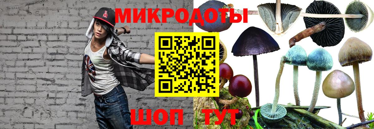 Тимашёвск  продажа наркотиков  Вход с VPN  Псилоцибиновые грибы прущие грибы 