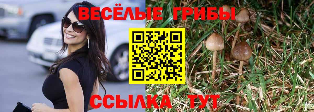 Псилоцибиновые грибы GOLDEN TEACHER Тимашёвск