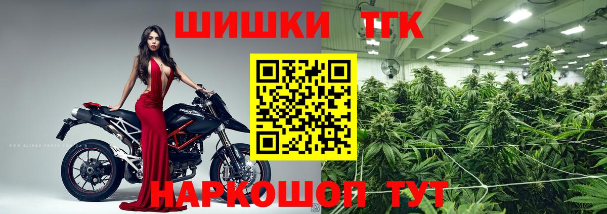 Бошки Шишки планчик Тимашёвск